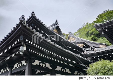 長谷寺(鎌倉市長谷) 長谷寺(鎌倉市長谷) 53808320