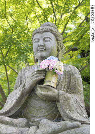 長谷寺(鎌倉市長谷) 53808397