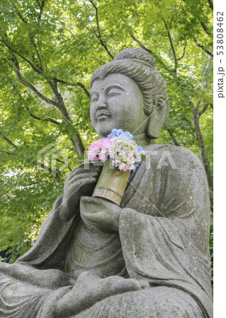 長谷寺(鎌倉市長谷) 53808462