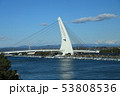 東海道新幹線からの車窓風景　浜名湖サンマリンブリッジ 53808536