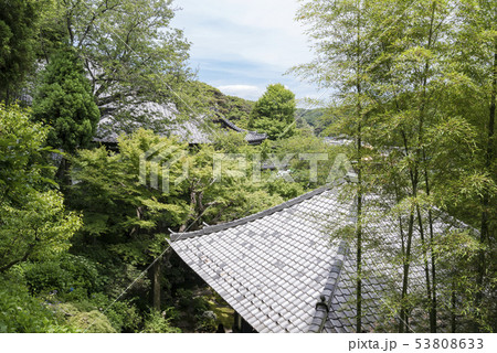 長谷寺(鎌倉市長谷) 53808633