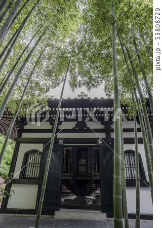 長谷寺の竹林と経蔵(鎌倉市長谷) 53808729