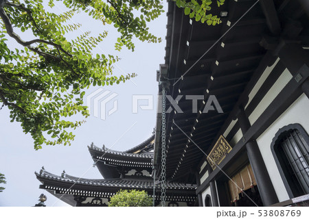 長谷寺(鎌倉市長谷) 53808769