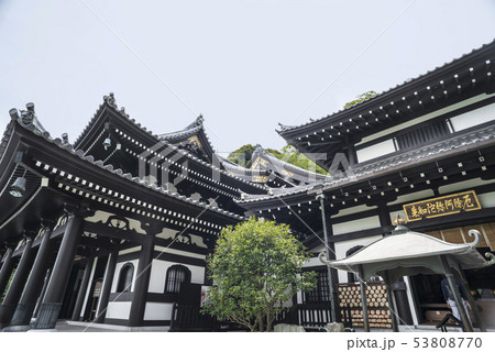 長谷寺(鎌倉市長谷) 53808770