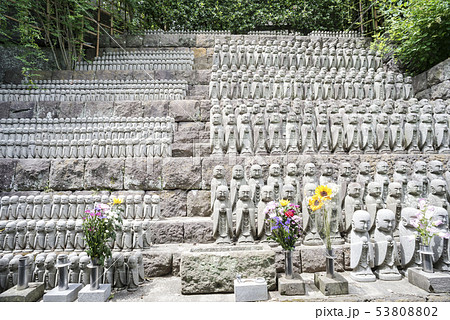 長谷寺(鎌倉市長谷) 53808802