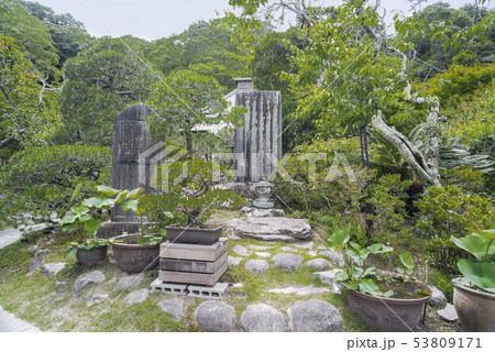 光則寺（鎌倉市長谷） 53809171