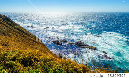 城ヶ島の神奈川県立城ヶ島公園からの眺望（神奈川県三浦市三崎町城ヶ島） 53809595