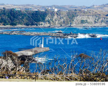 城ヶ島の神奈川県立城ヶ島公園からの眺望（神奈川県三浦市三崎町城ヶ島） 53809596