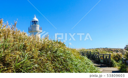 城ヶ島灯台(神奈川県三浦市三崎町城ヶ島) 城ヶ島灯台(神奈川県三浦市三崎町城ヶ島) 53809603