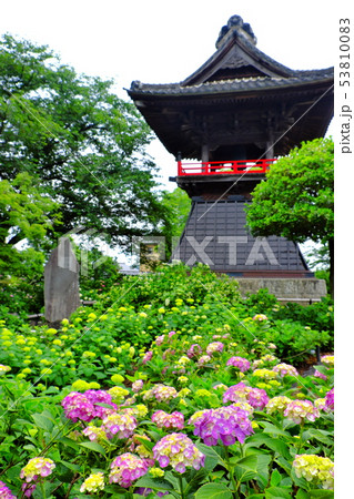 あじさい寺　熊谷能護寺 53810083
