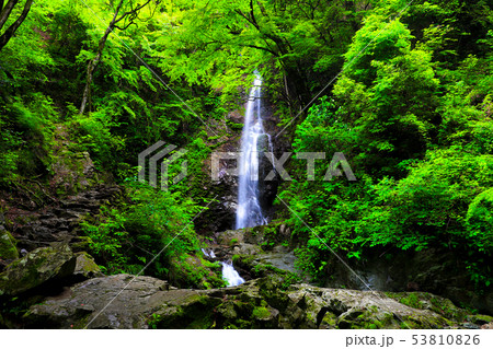 払沢の滝 53810826