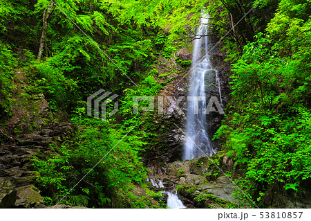 払沢の滝 53810857
