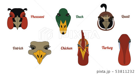 Flat icon poultry farm 53811232