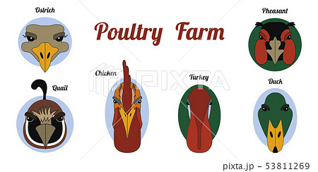 Flat icon poultry farm 53811269