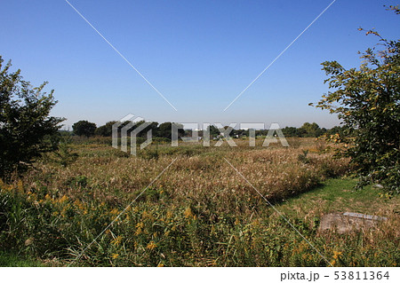 彩湖 道満グリーンパークの草原から遠方を望む 53811364