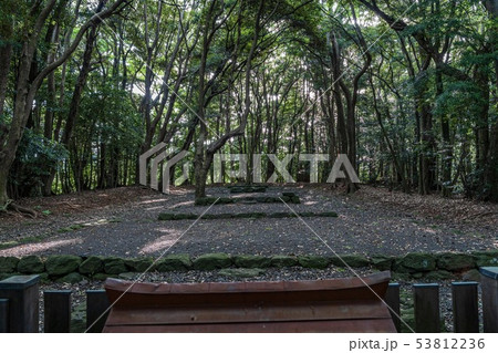 宗像大社 高宮祭場 (福岡県宗像市) 53812236