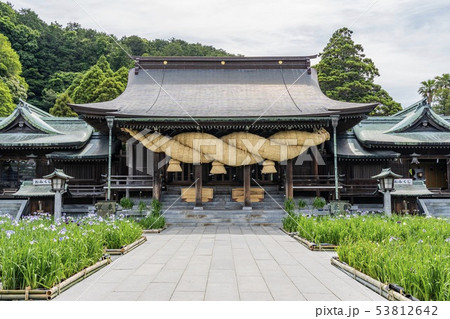 宮地嶽神社と花菖蒲 (福岡県福津市) 53812642