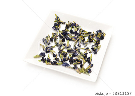 バタフライピー 53813157