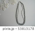 ネックレス 53813178