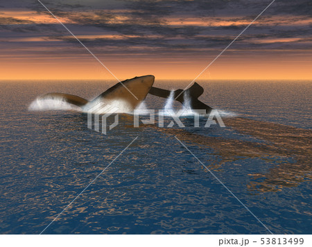 CG海中とクジラの親子10 CG海中とクジラの親子10 53813499