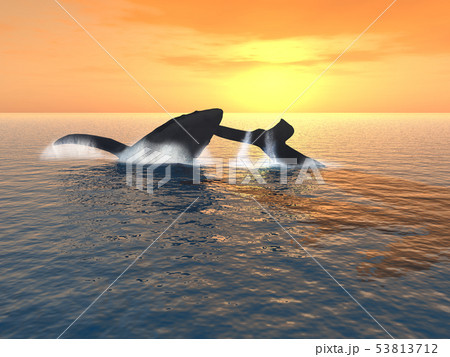 出産祝い シーグラスアート 親子クジラと海ガメ アート 写真 Slcp Lk