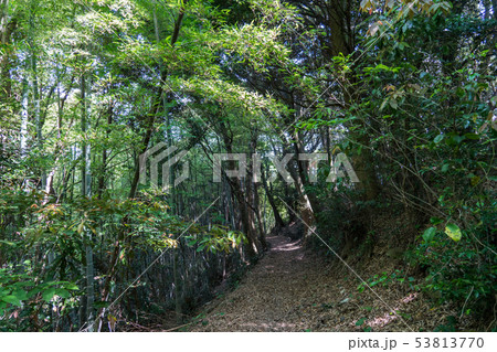 大津島公園遊歩道 大津島公園遊歩道 53813770