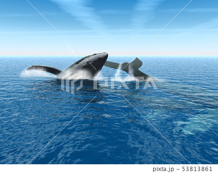 CG海中とクジラの親子28 53813861