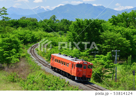 JR北海道　根室本線　キハ40 53814124