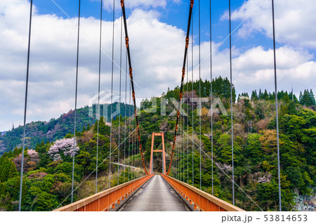 貫見大橋　【大分県日田市】 53814653