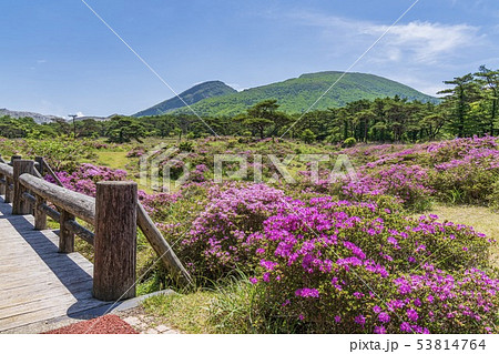 えびの高原 つつじヶ丘 えびの高原 つつじヶ丘 53814764