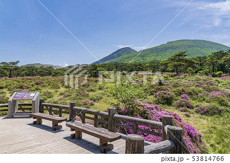 えびの高原 つつじヶ丘 えびの高原 つつじヶ丘 53814766