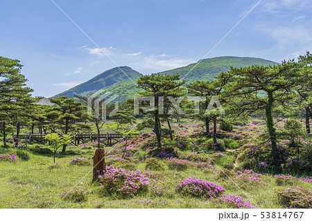 えびの高原 つつじヶ丘 53814767