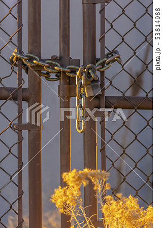 Chain link fence closed with padlock and bush 53814988