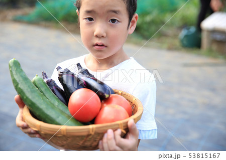 畑のお手伝いをする子ども 畑のお手伝いをする子ども 53815167