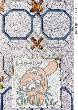 公園 メガネ ベンチ 公園 メガネ ベンチ 53815187