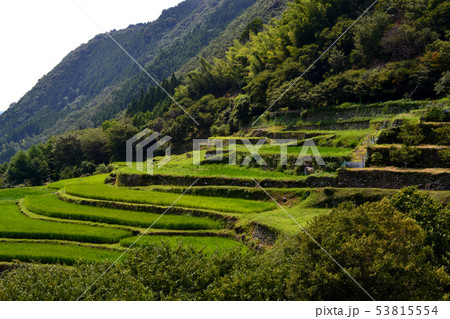 夏の里山 緑に輝く番所の棚田の景観 夏の里山 緑に輝く番所の棚田の景観 53815554