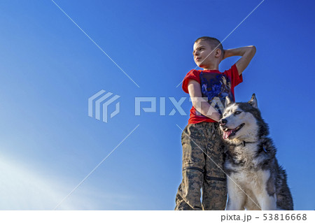 Boy with Siberian husky dog on blue sky background 53816668