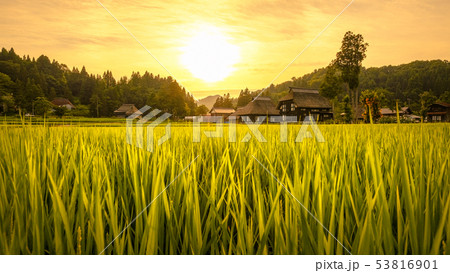 夏の農村風景 (荻ノ島環状集落の夕暮れ) 夏の農村風景 (荻ノ島環状集落の夕暮れ) 53816901