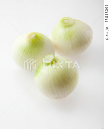 玉ねぎ　 53818091