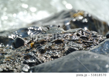 よくよく見ると 53818570