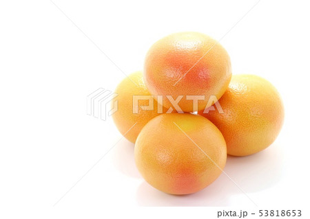 グレープフルーツ　4個 53818653