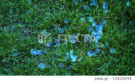 Large hail lies on green grass Large hail lies on green grass 53820048