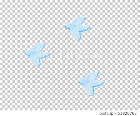 鳥 53820765