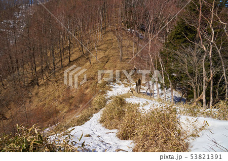 奥日光 残雪の半月峠から北西側の阿世潟峠(あせがたとうげ)へ向かう登山道 奥日光 残雪の半月峠から北西側の阿世潟峠(あせがたとうげ)へ向かう登山道 53821391