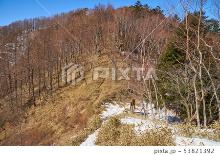 奥日光 残雪の半月峠から北西側の阿世潟峠(あせがたとうげ)へ向かう登山道 奥日光 残雪の半月峠から北西側の阿世潟峠(あせがたとうげ)へ向かう登山道 53821392
