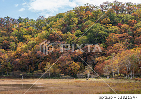 栃木県日光市 奥日光 小田代原 (10月) 栃木県日光市 奥日光 小田代原 (10月) 53821547