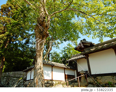 坂本 権現馬場に面した里坊 華王院 坂本 権現馬場に面した里坊 華王院 53822335