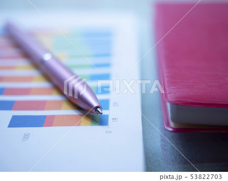 ビジネスイメージ・グラフ・手帳・女性 ビジネスイメージ・グラフ・手帳・女性 53822703