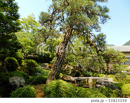 坂本 里坊庭園 寿量院 坂本 里坊庭園 寿量院 53823339