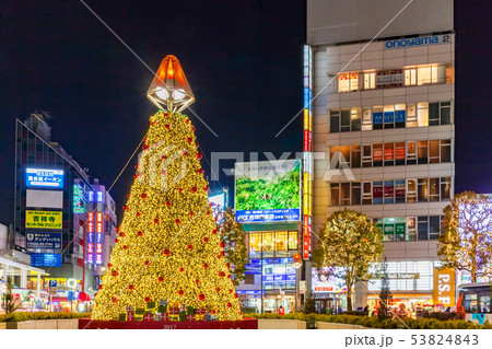吉祥寺北口　イルミネーション 53824843